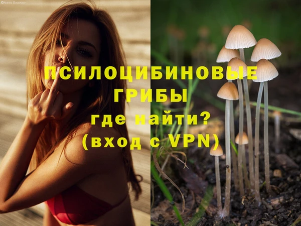ECSTASY Гусь-Хрустальный