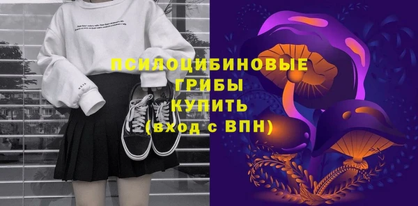 гашик Гусиноозёрск