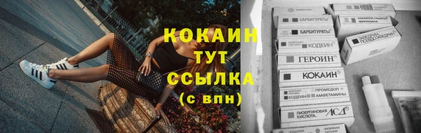 гашик Гусиноозёрск