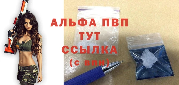 PSILOCYBIN Гусев
