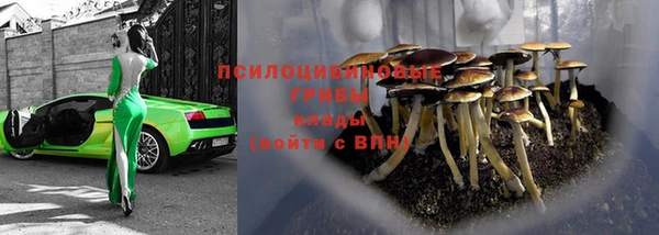 гашик Гусиноозёрск