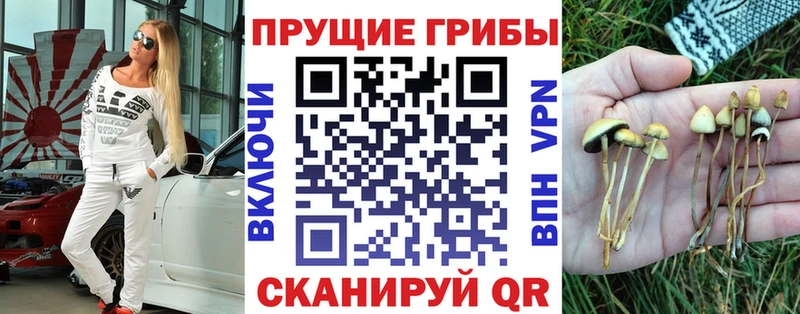 Галлюциногенные грибы Psilocybe  OMG   Чебоксары 